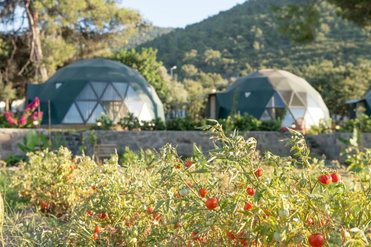 מלון Lusso Glamping בודרום מראה חיצוני תמונה