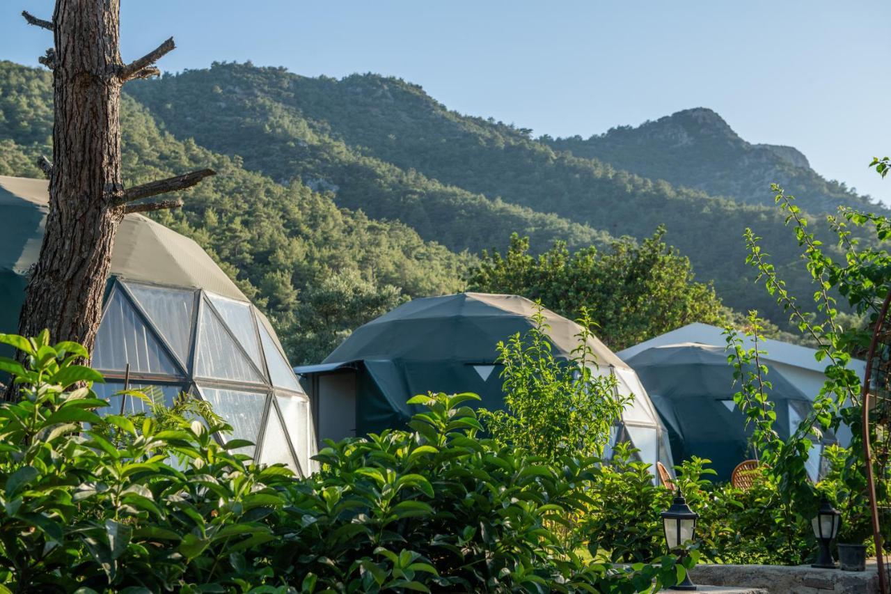 מלון Lusso Glamping בודרום מראה חיצוני תמונה